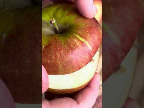 Bratapfel Rezept