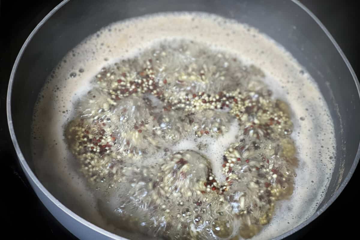 Gemüse Bratlinge | für Grill und Pfanne