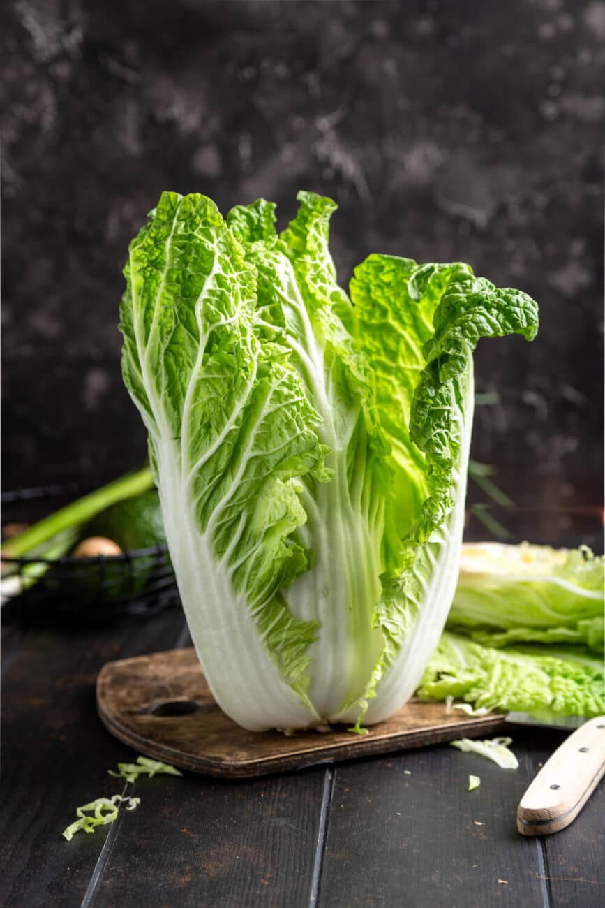 Chinakohl | Gemüse Lexikon Chinakohl | Gemüse Lexikon