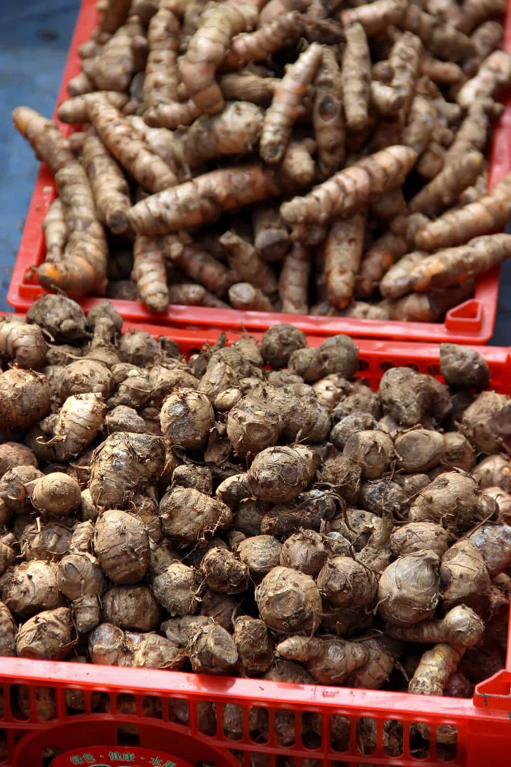 frischer ingwer nach ernte