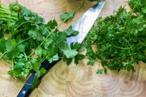 mojo verde rezept schritt 1