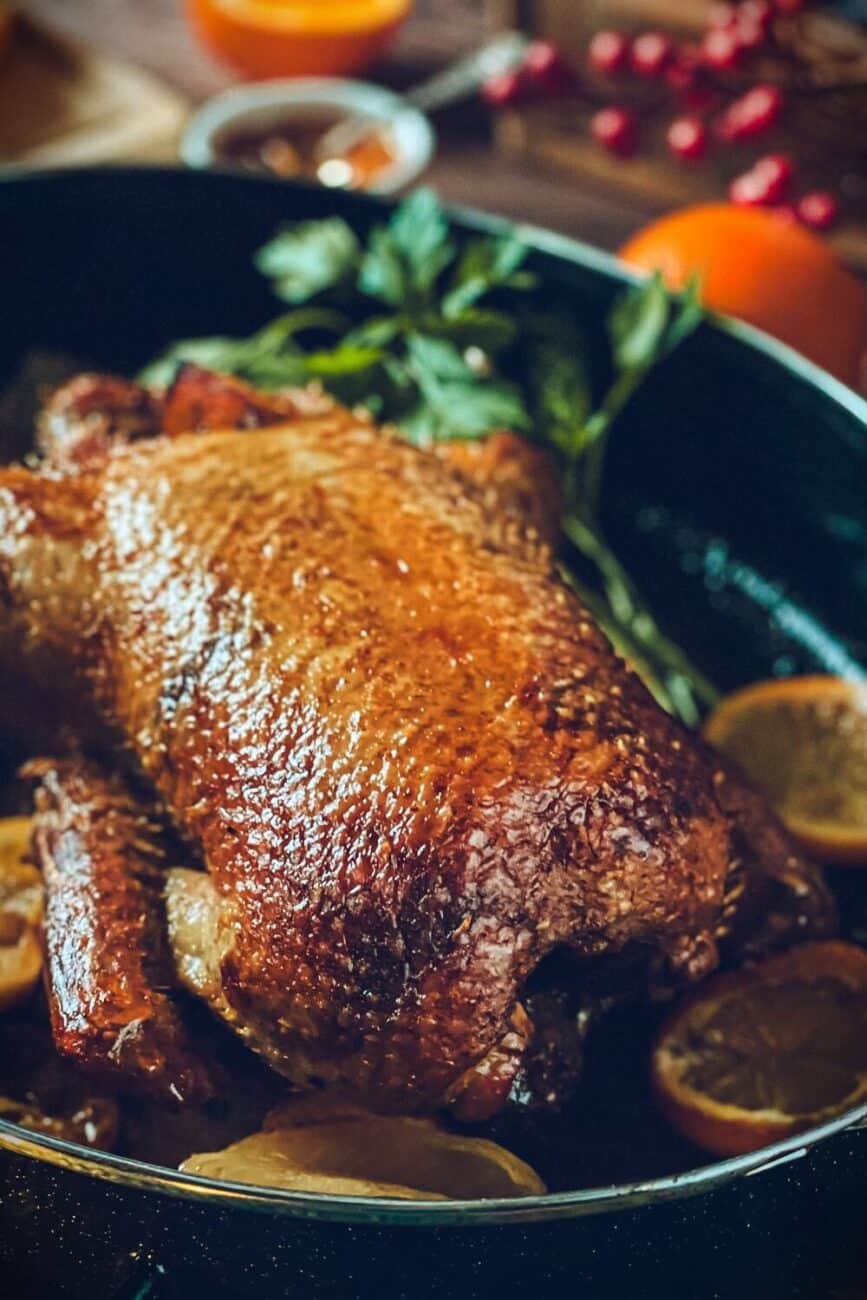 Peill+Putzler Weihnachtsgeschirr - Bone China Porzellan Mit Goldrand Für 6 Personen