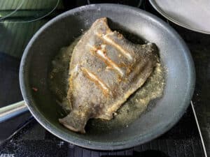 scholle finkenwerder art schritt 5