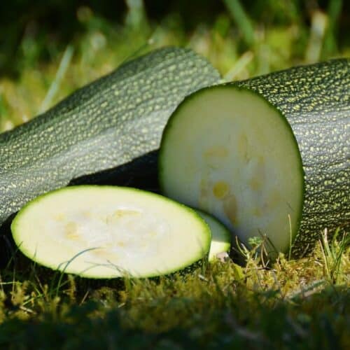 zucchini einfrieren